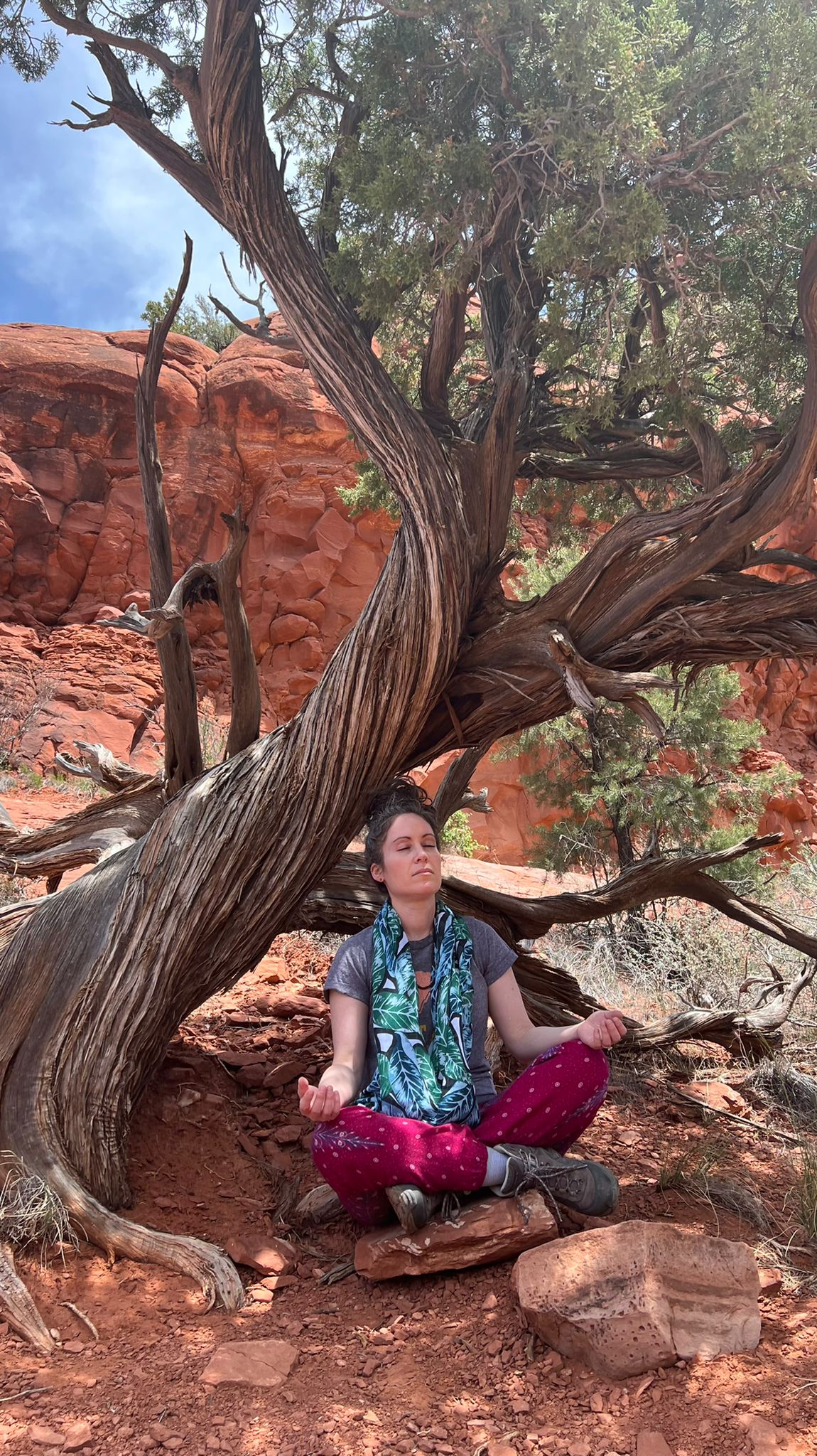 Laughing Tree, Bell Rock, Sedona, AZ